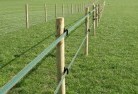 Two Mile Flatelectric-fencing-4.jpg; ?>